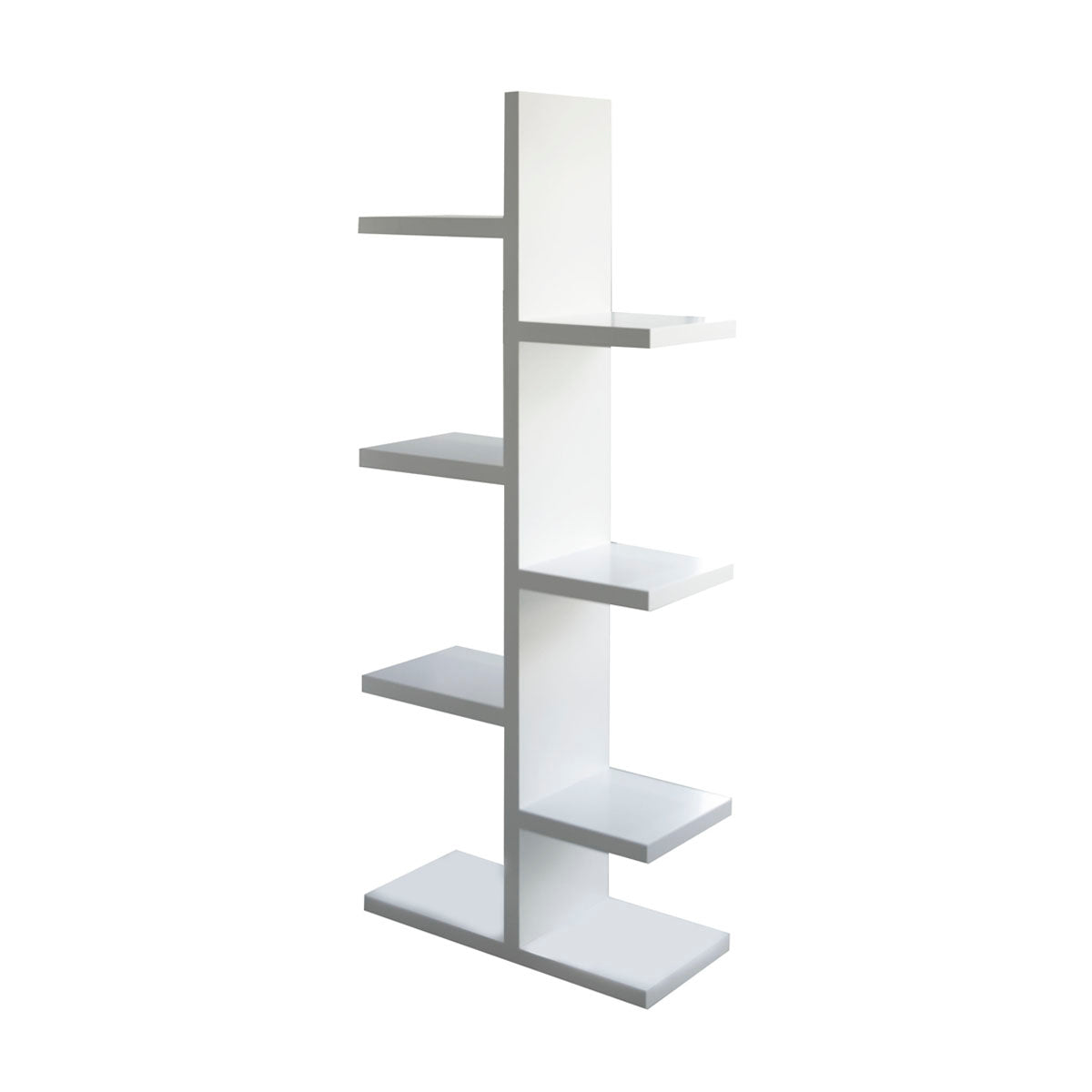 The Spine Shelf