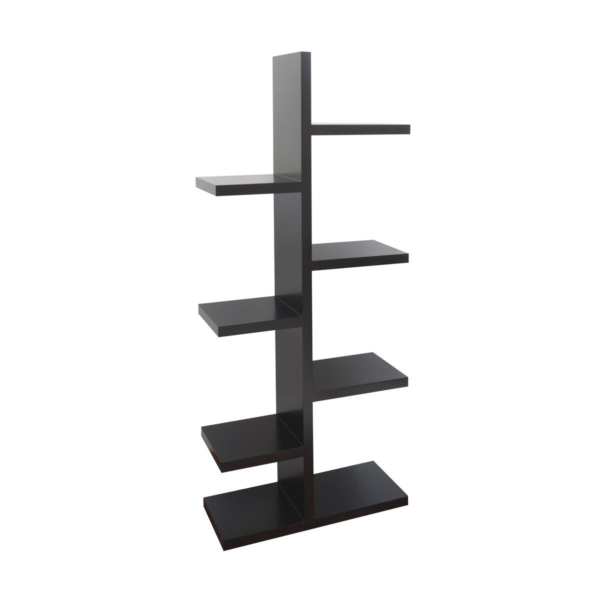 The Spine Shelf