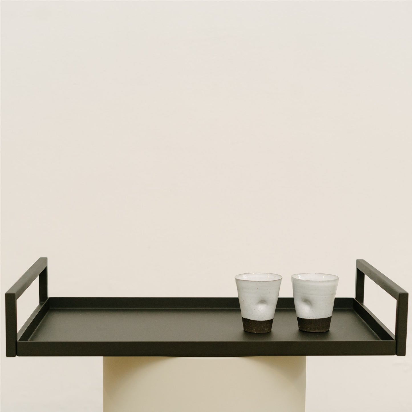 The Steel Handle Tray