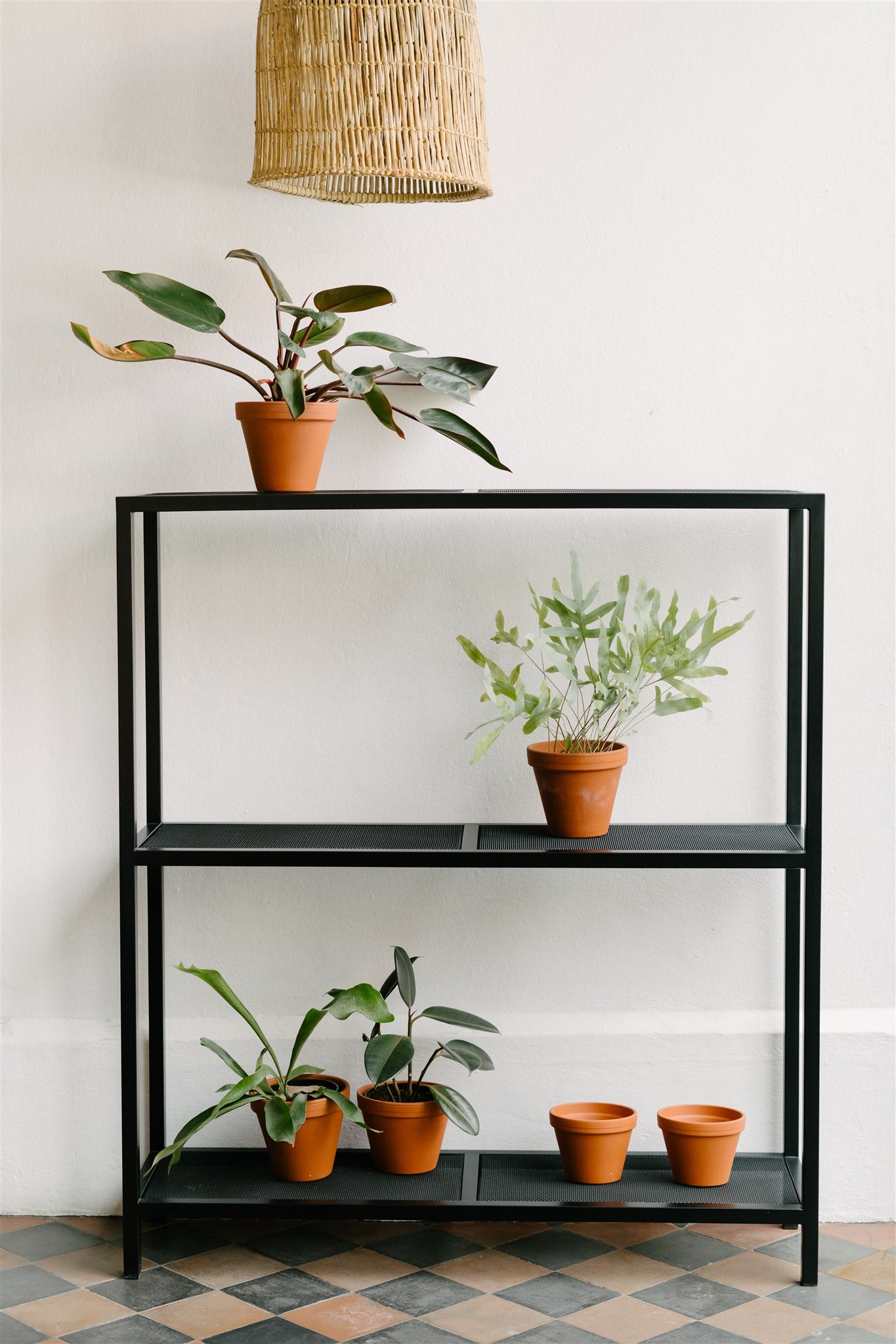 The Sunkist Shelf