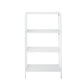The Skeleton Shelf