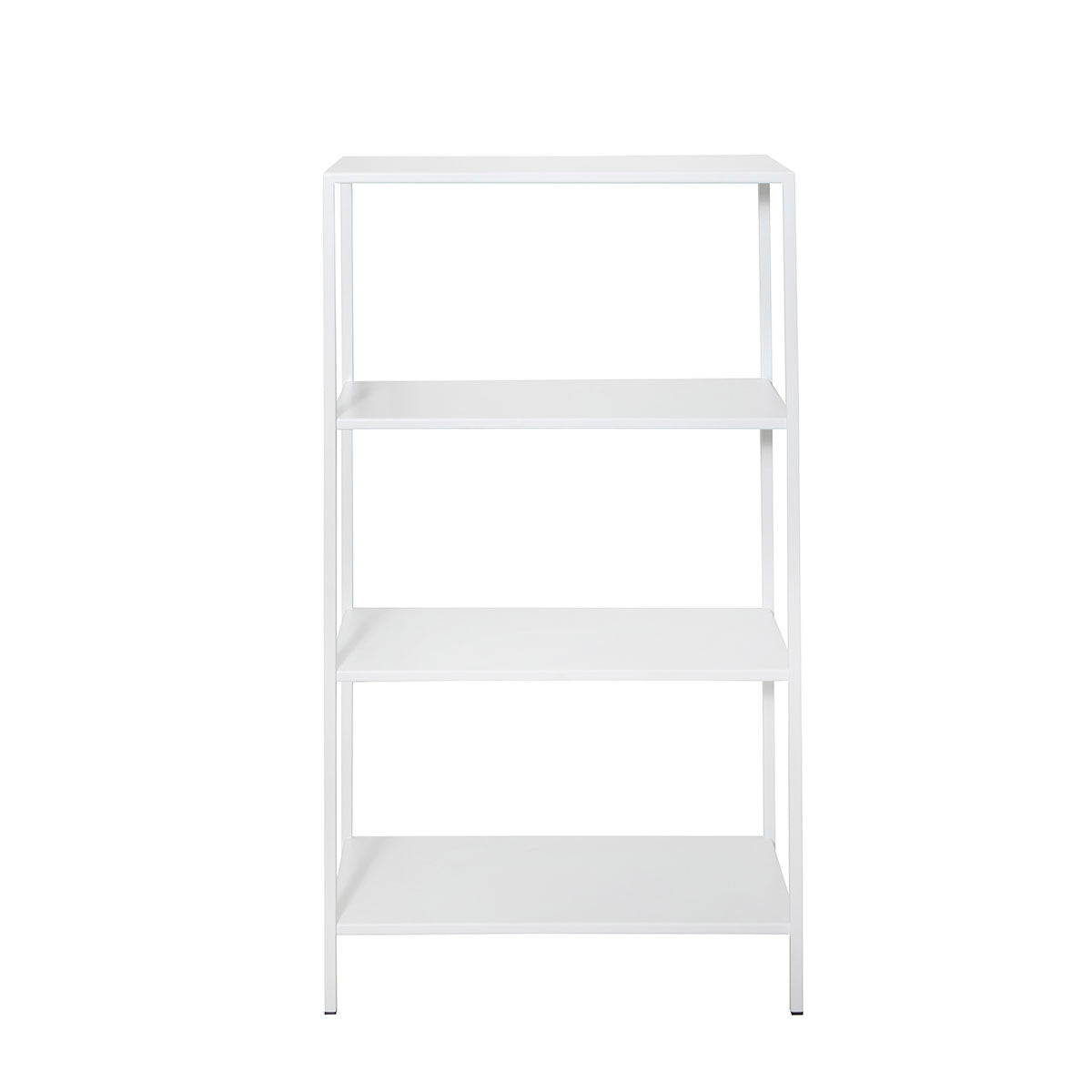 The Skeleton Shelf