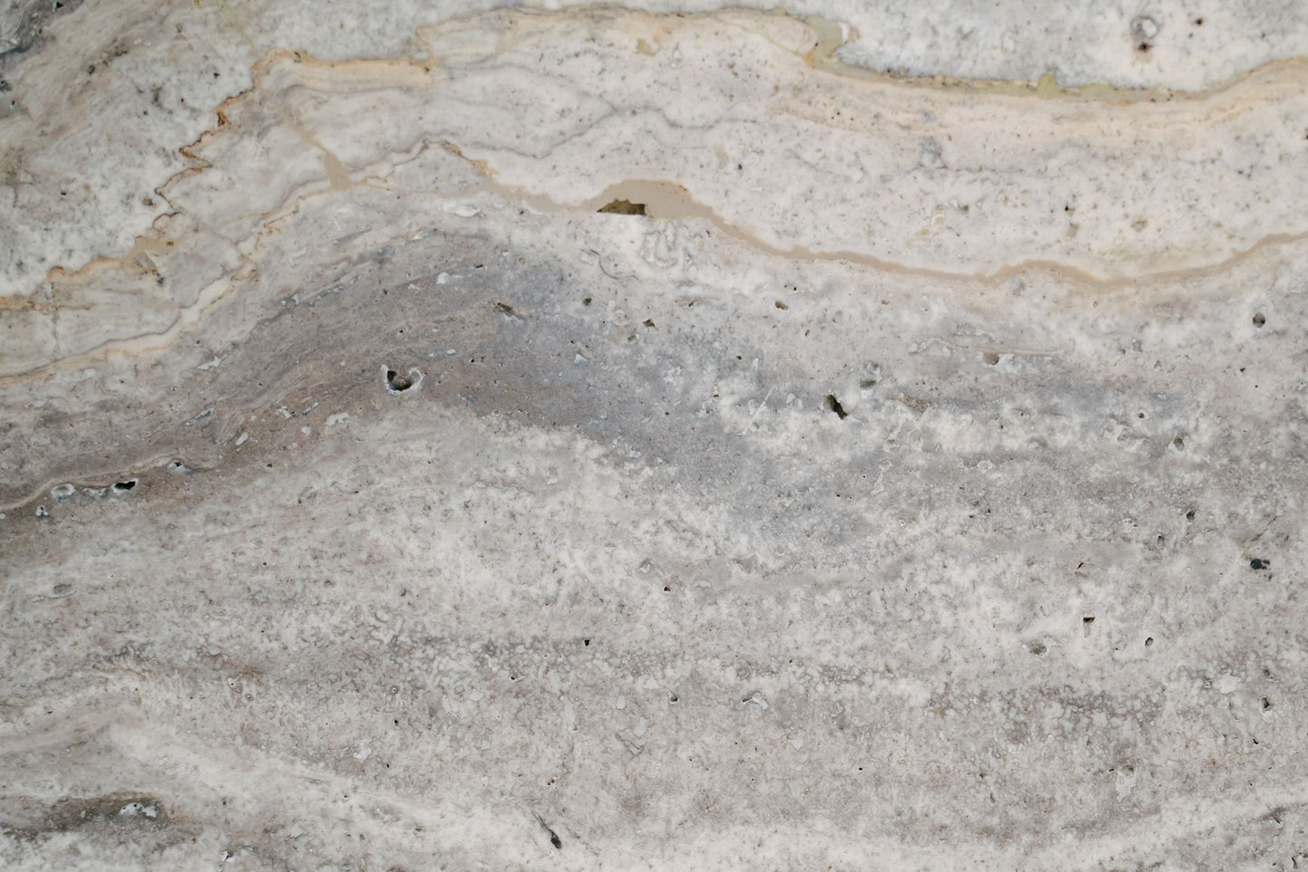 The Fossil Side Table