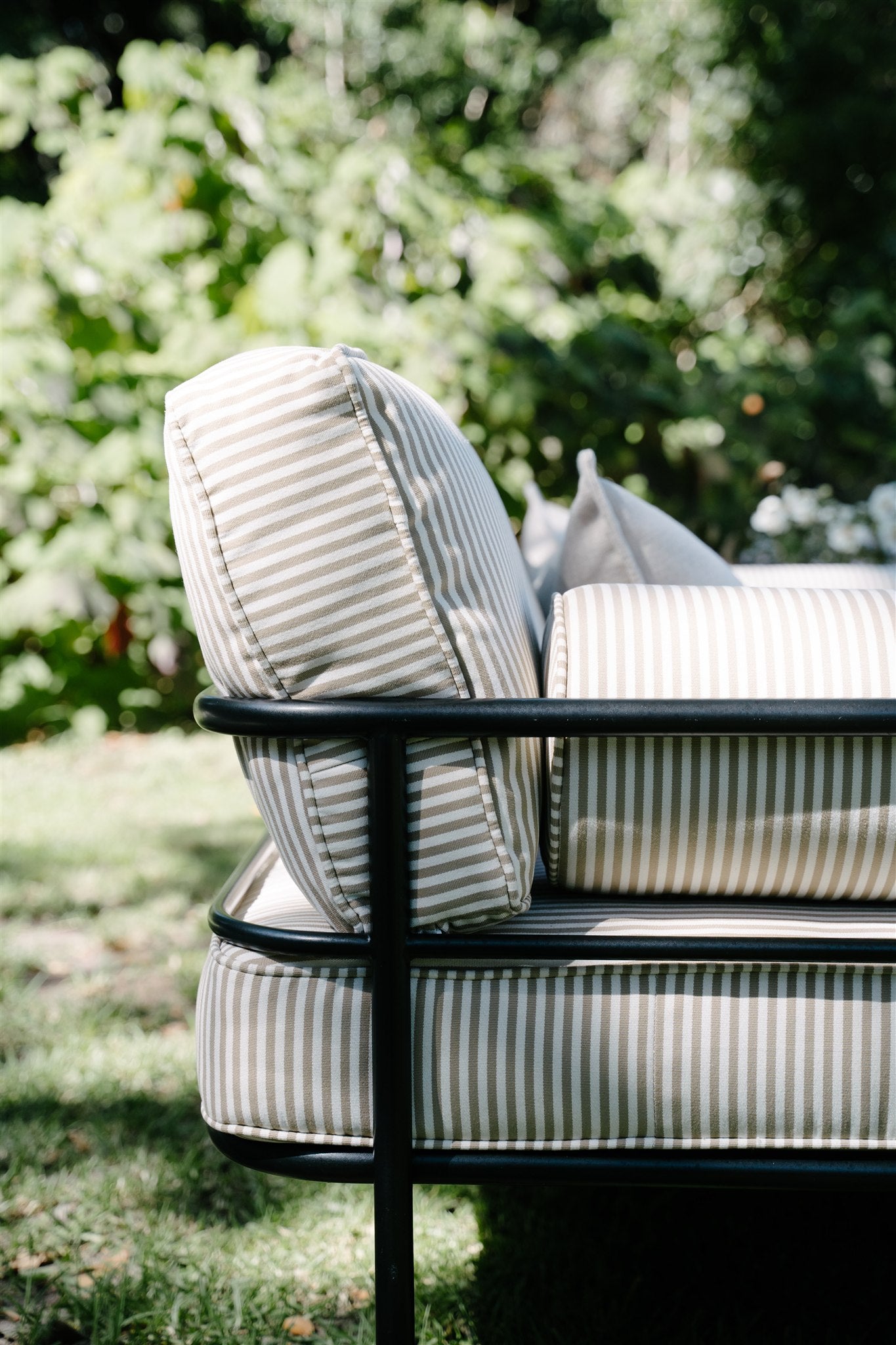 The Haven Collection
