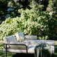 The Haven Collection