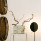KOA_PHOTOGRAPHY_LIM_NOV_25_STORE-27