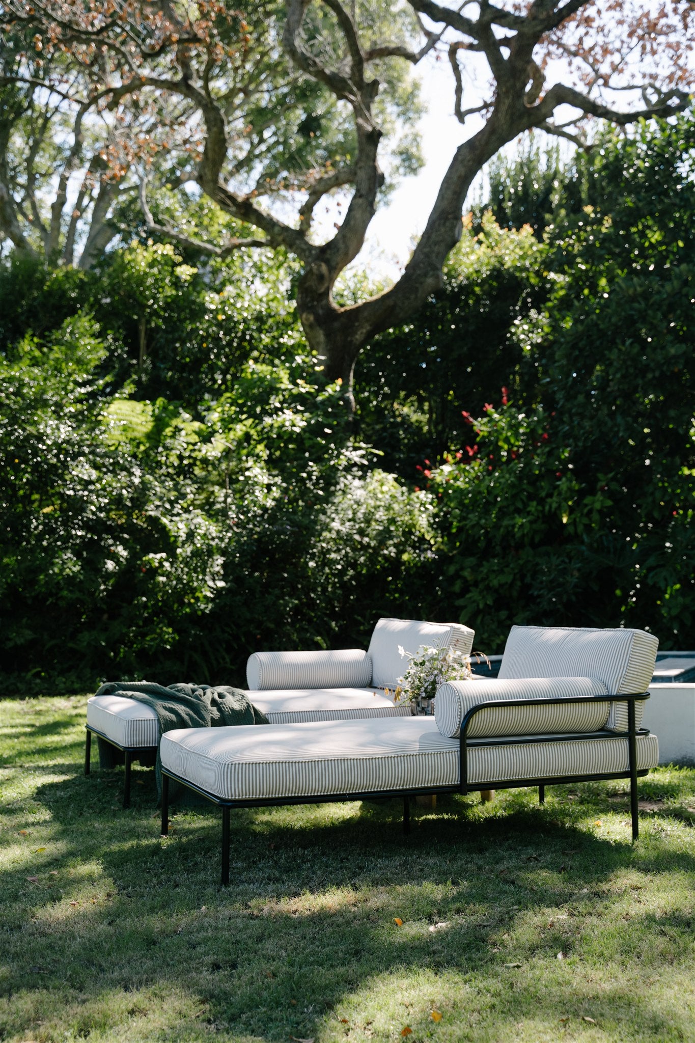 The Haven Collection