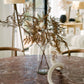 The Spectrum Dining Table
