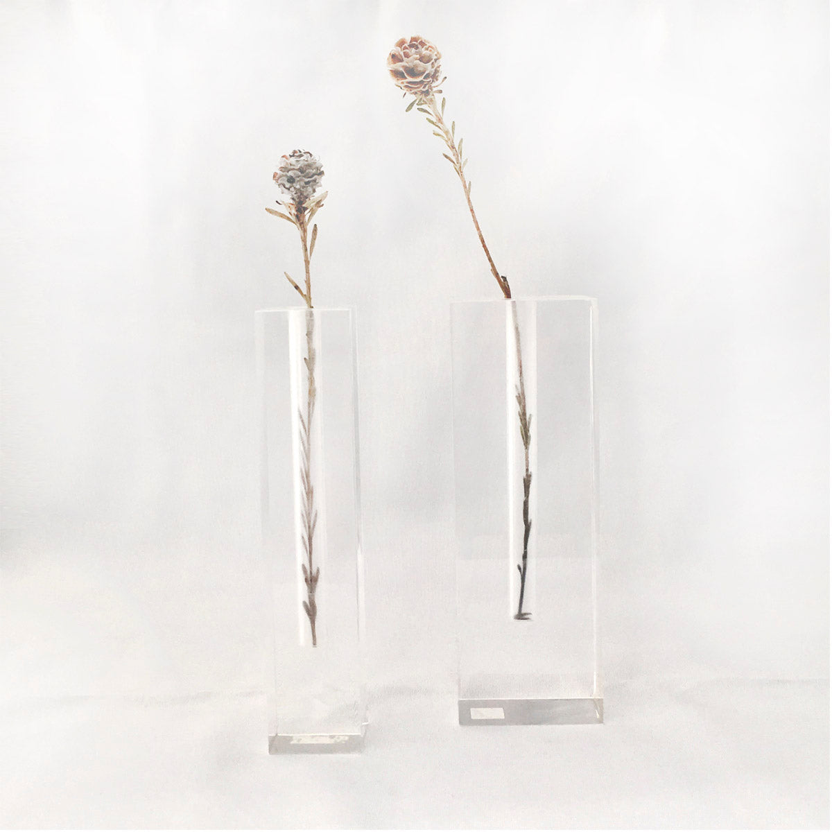 The Single Stem Perspex Vase