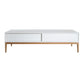 The Sleek TV Unit