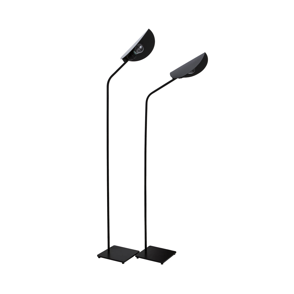 The Curved Poppy Lamp