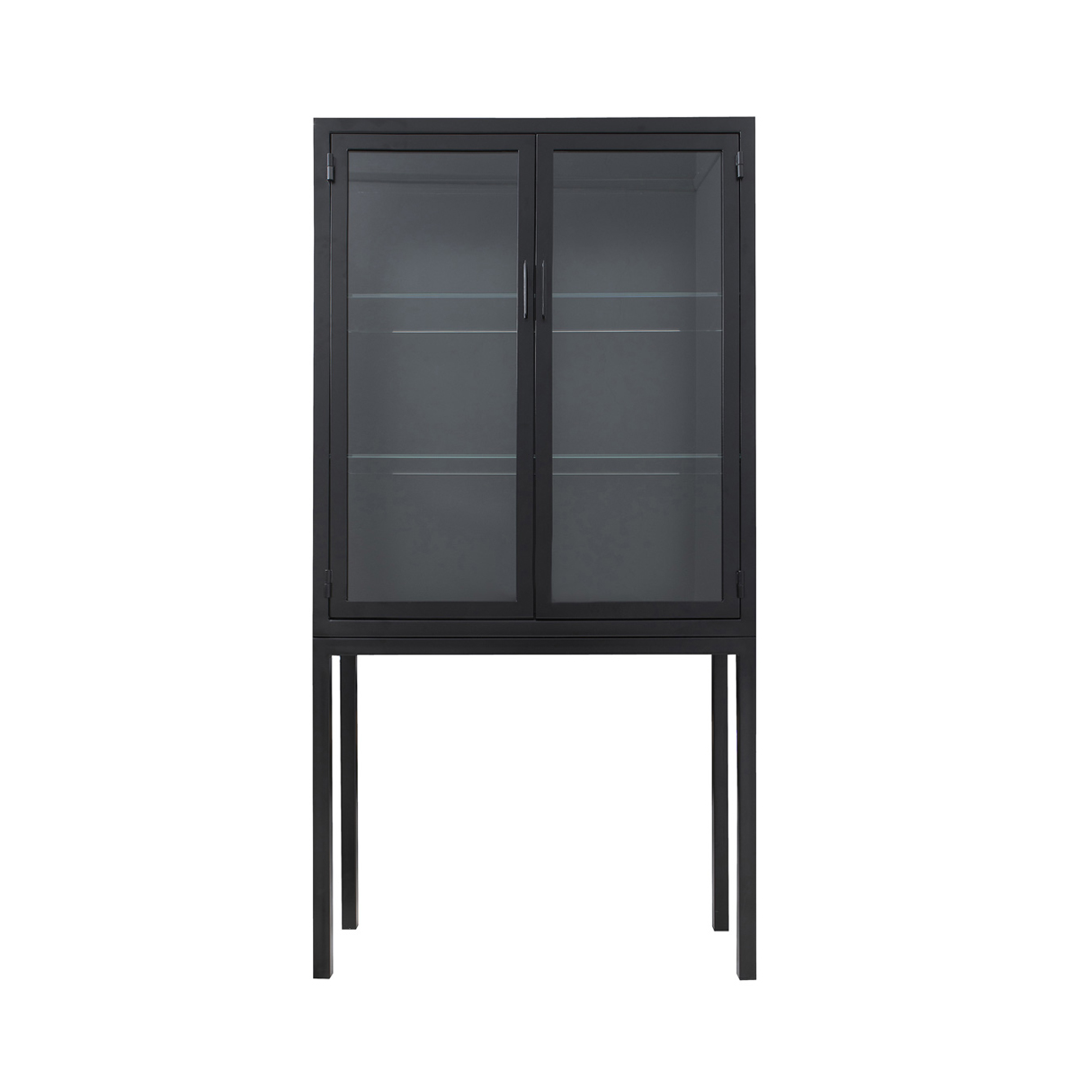 Steel Cabinet With Reeded Glass Doors, Black Metal Cabinet With Glass Doors